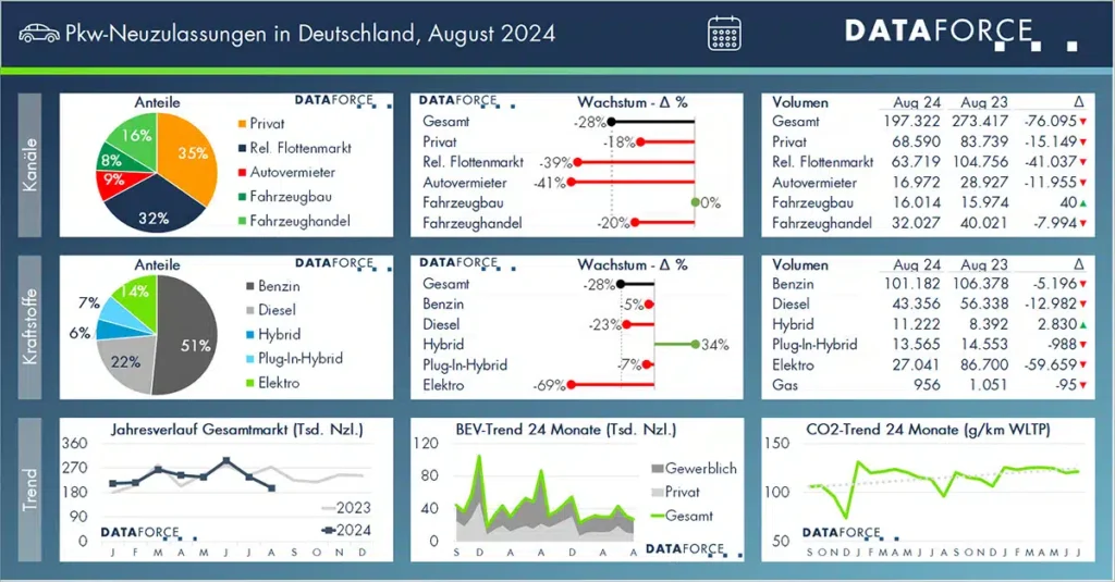 DF_20240909_PM_August_2024_B101_Pkw_Monat_Dashboard-web