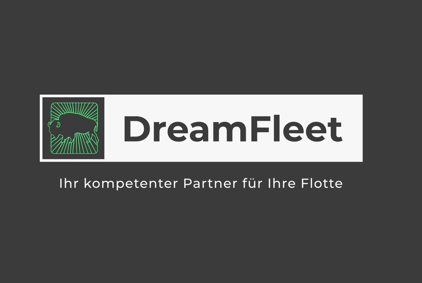 Dreamfleet