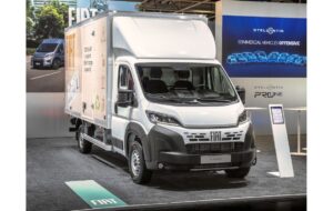 Fiat E-Ducato,Cargo